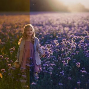 Lightroom Mastery: Adobe Lightroom Classic az alapoktól a profi szintig