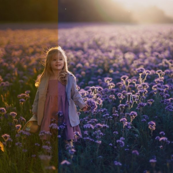 Lightroom Mastery: Adobe Lightroom Classic az alapoktól a profi szintig