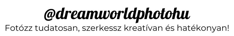 dreamwolrdphotohu logo